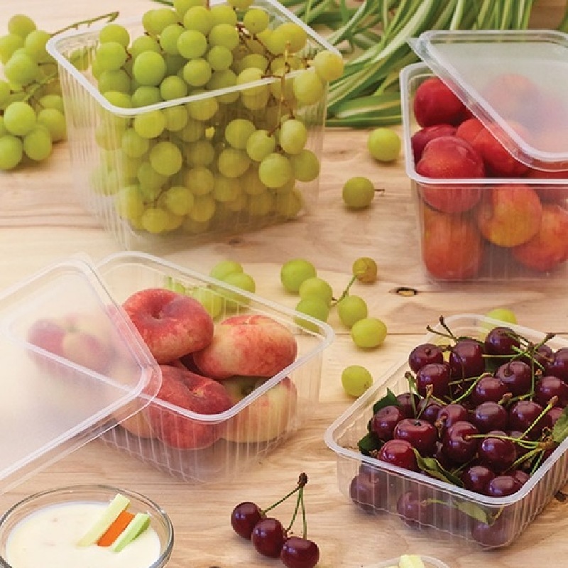 товар Контейнер универсальный PP, прозрачный, 179*132*64 мм, 1000 мл, серия К-179 V4-0014